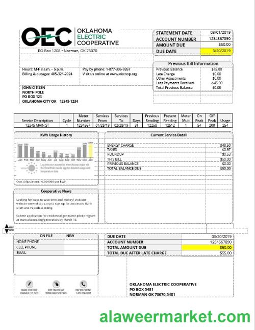 USA OEC electricity utility bill template in Word and PDF format